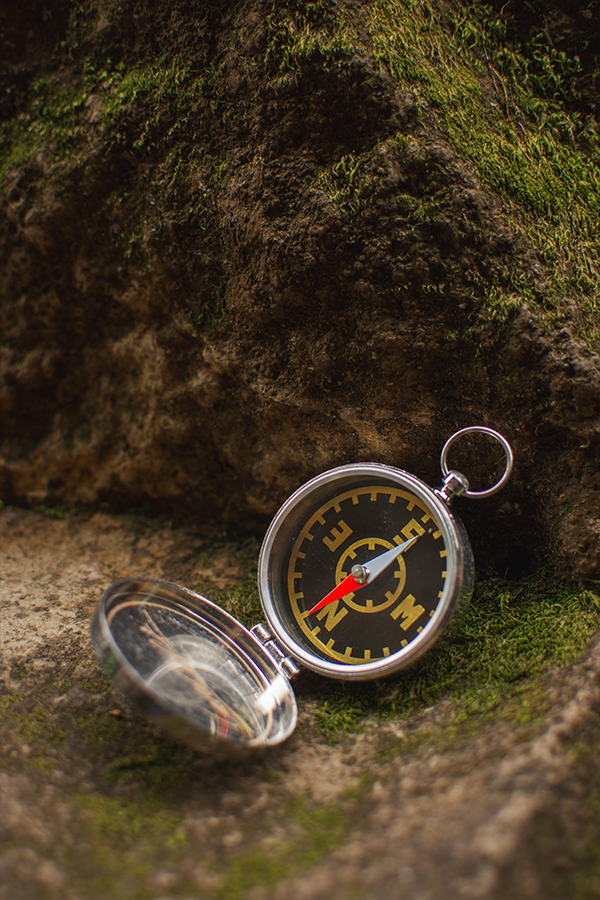 Tomb Raider Lara's Adventure Compass