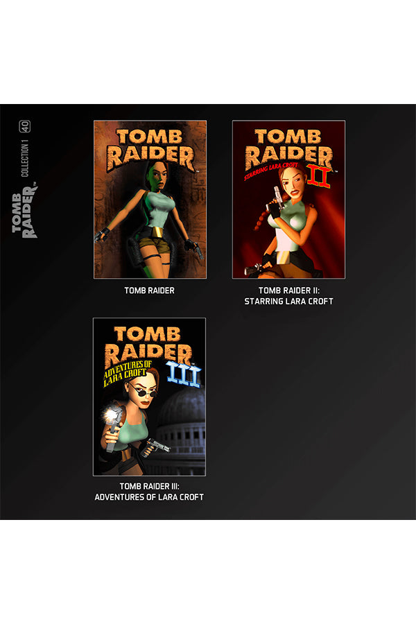 Tomb Raider Evercade EXP-R - Hand Held